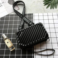 New Influencer Mini Bag - Free Shipping