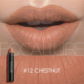 Focallure Matte Waterproof Lipstick